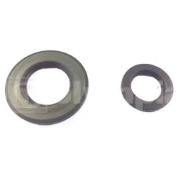 Serie paraoli motore Ape MP 501 Ape Car P2 - P3 Ape TM P702 - P703 - P602