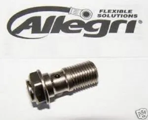 Bullone forato per Spurgo tubo singolo M10X1 codice 06GS2373