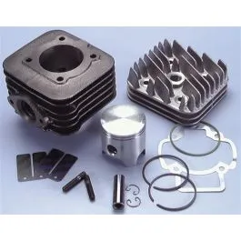 kit sfera zip free d.47 polini