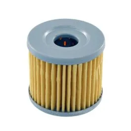 filtro olio epicuro burgman 125 400 > k7 nypso