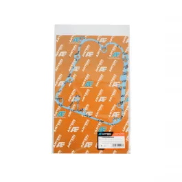 guarnizione carter volano people 250 00124945