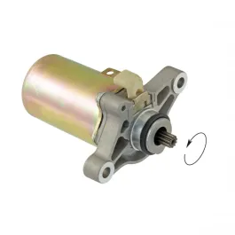 motorino avviamento people 50 2t dink 50 2t