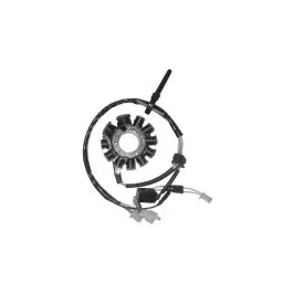 Statore per Peugeot Lxr - Sym Hd - Phoenix 150 200