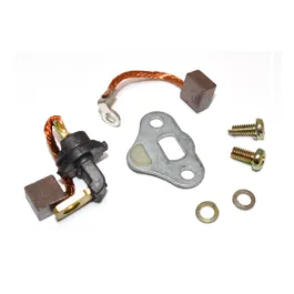 Set spazzole ricambio per motorino avviamento SGR 1781842