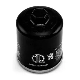 filtro olio zenzero polaris