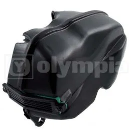 filtro aria scarabeo 50 2t