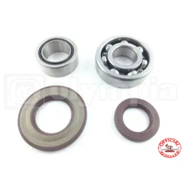 kit revisione albero motore ape tm 602 703