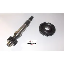 ingranaggi allungati z 16 37 zip fast rider