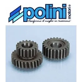 ingranaggi suzuki cp 50 polini