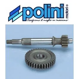 ingranaggi primari cagiva city 50 polini