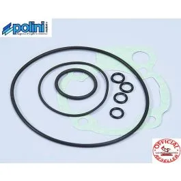 serie guarnizioni polini minarelli am6