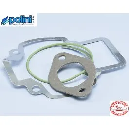 serie guarnizioni polini evolution piaggio zip 50