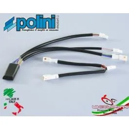 centralina e-bike bici elettrica yamaha polini