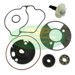 Kit revisione pompa acqua Yamaha Xenter 125/150 cc