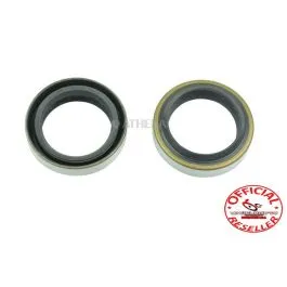 paraoli forcella 25,7 X 35 X 7/9