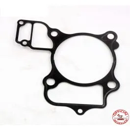 guarnizione cilindro honda sh 300