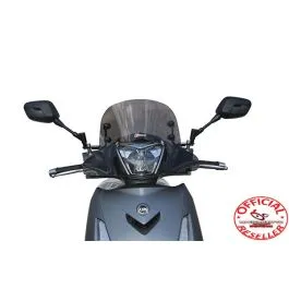 parabrezza sym hd 300 basso fume'