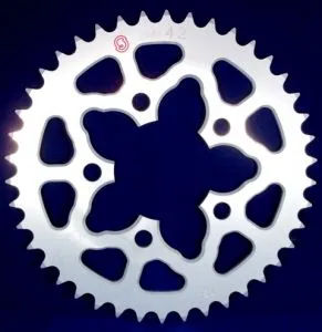 Corona Sitta 39 Denti Ergal catena 520 per BMW S 1000 HP4