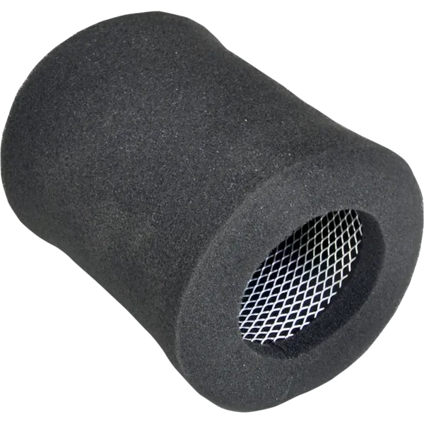 Filtro aria di ricambio-10113112