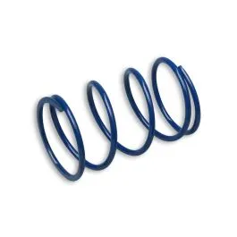 molla contrasto variatore blu 298325A0