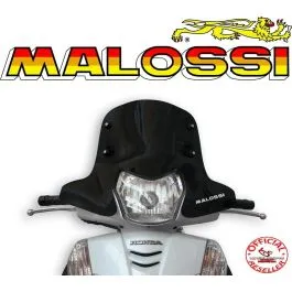 cupolino sh 300 11/14 fume' malossi