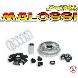 variatore malossi suzuki burgman 125 150