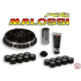 variatore malossi bmw c 650 2016>