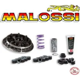 variatore malossi kymco ak 550