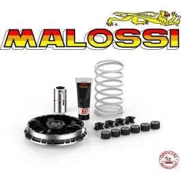 variatore malossi bmw c 400 2019 >