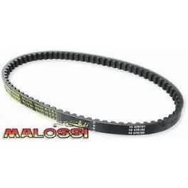 cinghia beverly 350 malossi