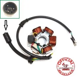 Statore magnete completo Piaggio Ape 50 3 fili