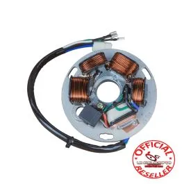 Statore magnete Piaggio Vespa Px 125 150 200