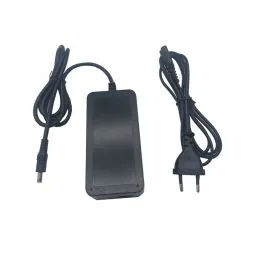 Caricatore 42V 2A caricabatteria bici 36V a litio spinotto 1PIN (DC 5,5X2,1 MM)