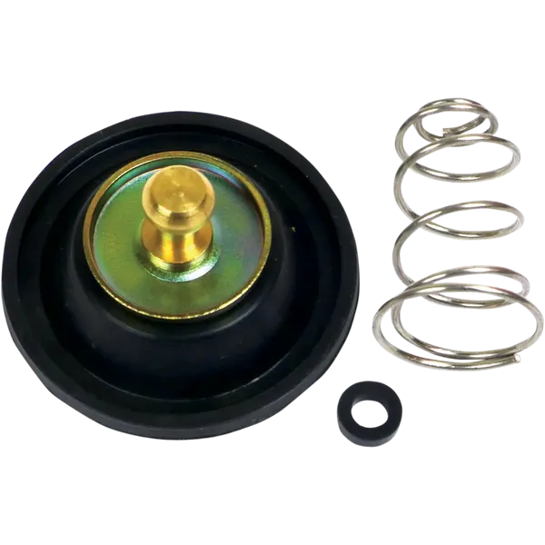 Set di membrane carburatore-10030299