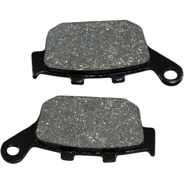 Pastiglie del freno Harley/Buell organiche-FA140