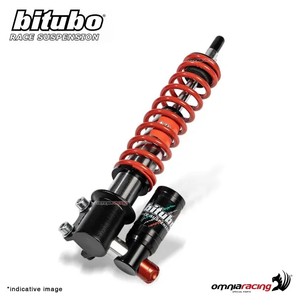 Ammortizzatore anteriore Bitubo GEV0 regolabile Piaggio ZIP SP 50 2001-2004