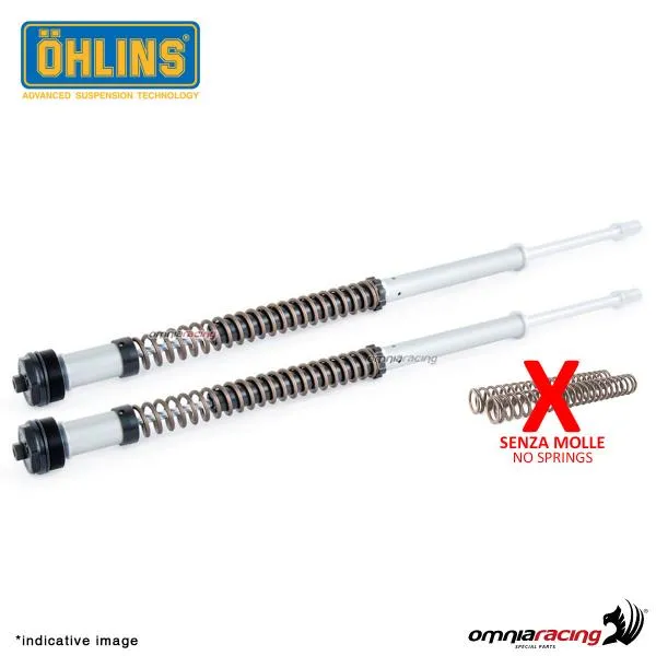 Coppia cartucce forcella Ohlins NIX22 Racing senza molle per Kawasaki Ninja ZX25R 2020>