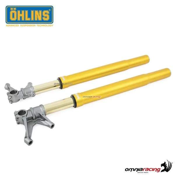 Forcella Ohlins FGRT250 regolabile completa di cartucce 30mm foderi oro per Yamaha R1/R1M 2015>
