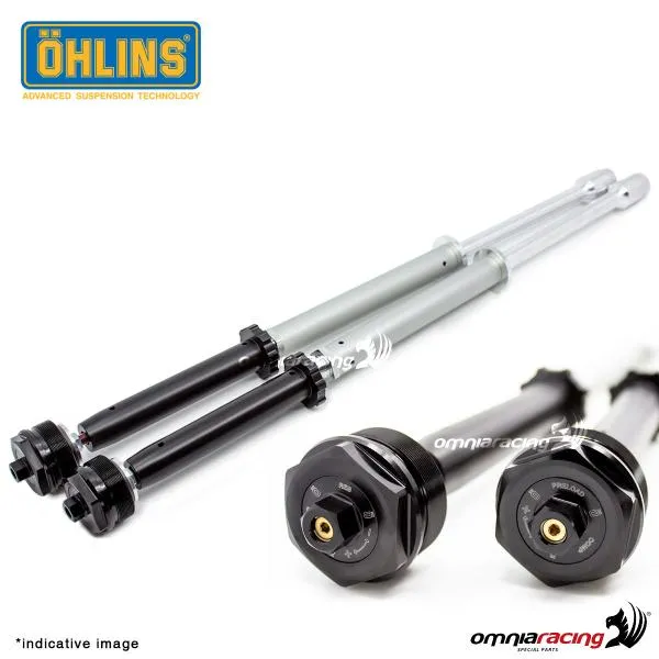 Set cartucce forcella Ohlins NIX22 Harley-Davidson FLH-X / FLT-X (con carena) 2017-2023