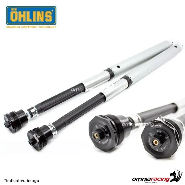 Set cartucce forcella Ohlins NIX30 Street Yamaha Tmax 560 2020-2023