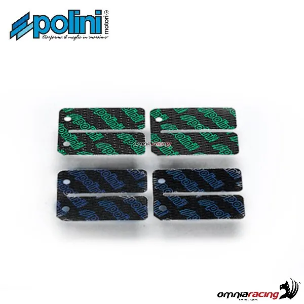 Set di lamelle Polini in carbonio per pacco lamellare per Piaggio Zip 50 Fast Rider