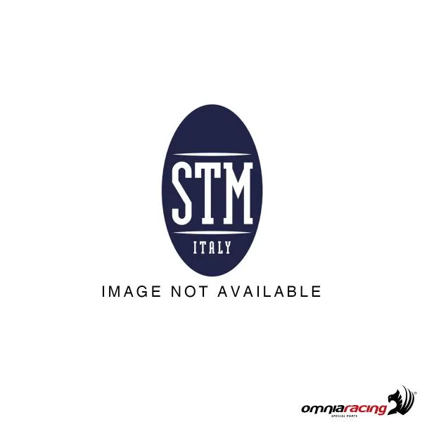 Disco frizione a secco STM 48 denti disco singolo S=2mm