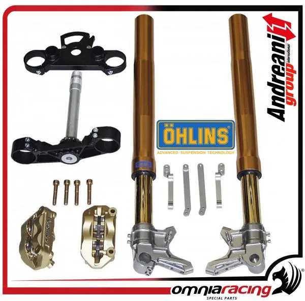 Kit forcella Ohlins FGRT 43 con piastre, pinze 100mm e distanziali per Yamaha T Max 530 2012>2014