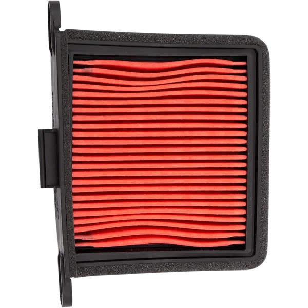 Triumph OEM Air Filter-10114531