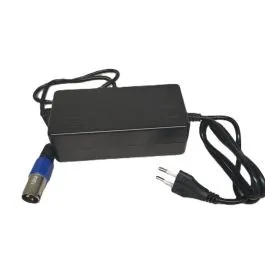 Caricabatterie 48 volts per batterie al piombo per monopattino elettrico