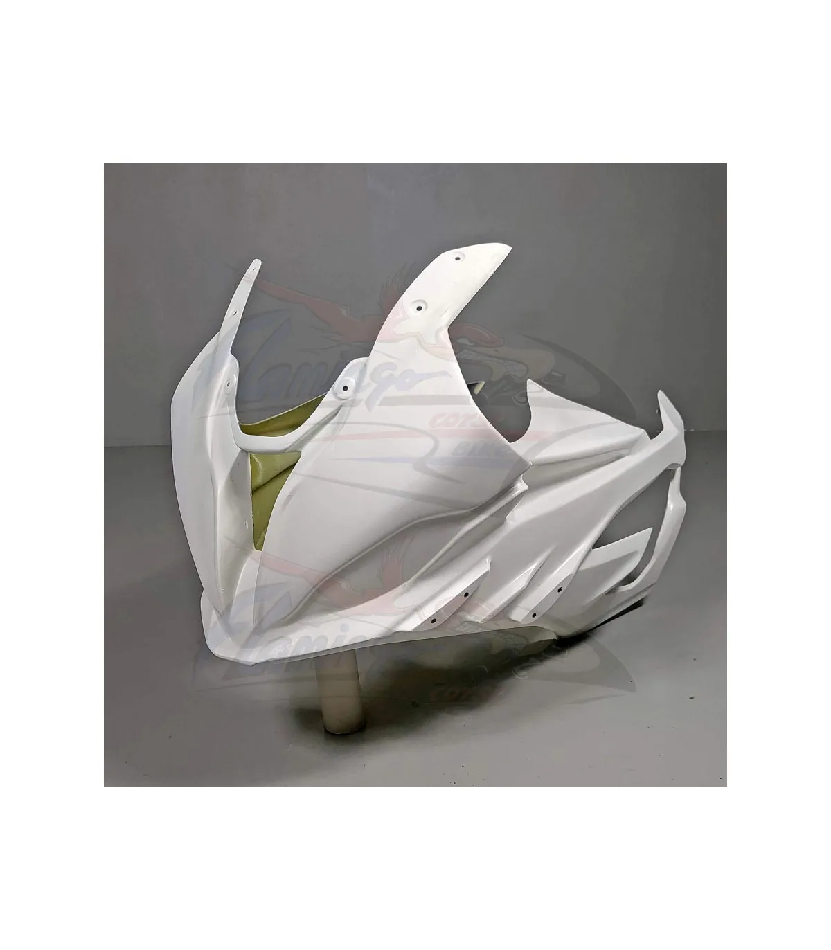 CARENATURA ANTERIORE FLAMINGO PER BMW S 1000 RR 2023-2024