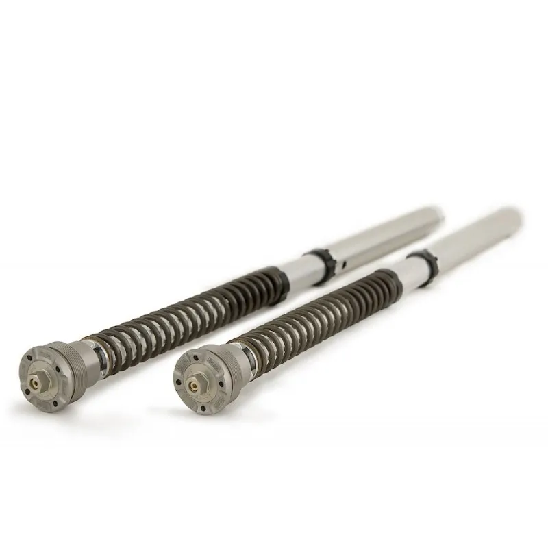 CARTUCCE FORCELLE OHLINS NIX SUPERSPORT 30 MM CON MOLLE E OLIO BMW R NINE T 2017-2020*