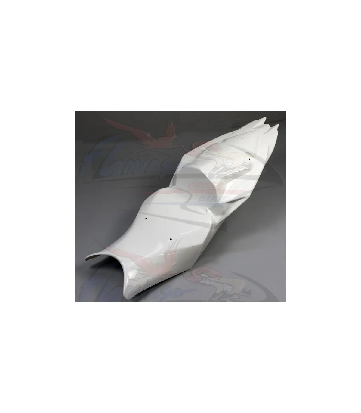 Codone Monoposto SBK BMW S 1000 RR 2015 - 2018