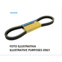 cinghia vision rapido