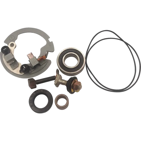 Starter Rebuild Kit-21121818